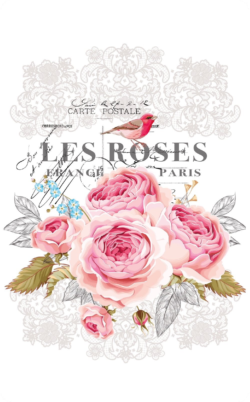 Les Roses - Hokus Pokus Transfer