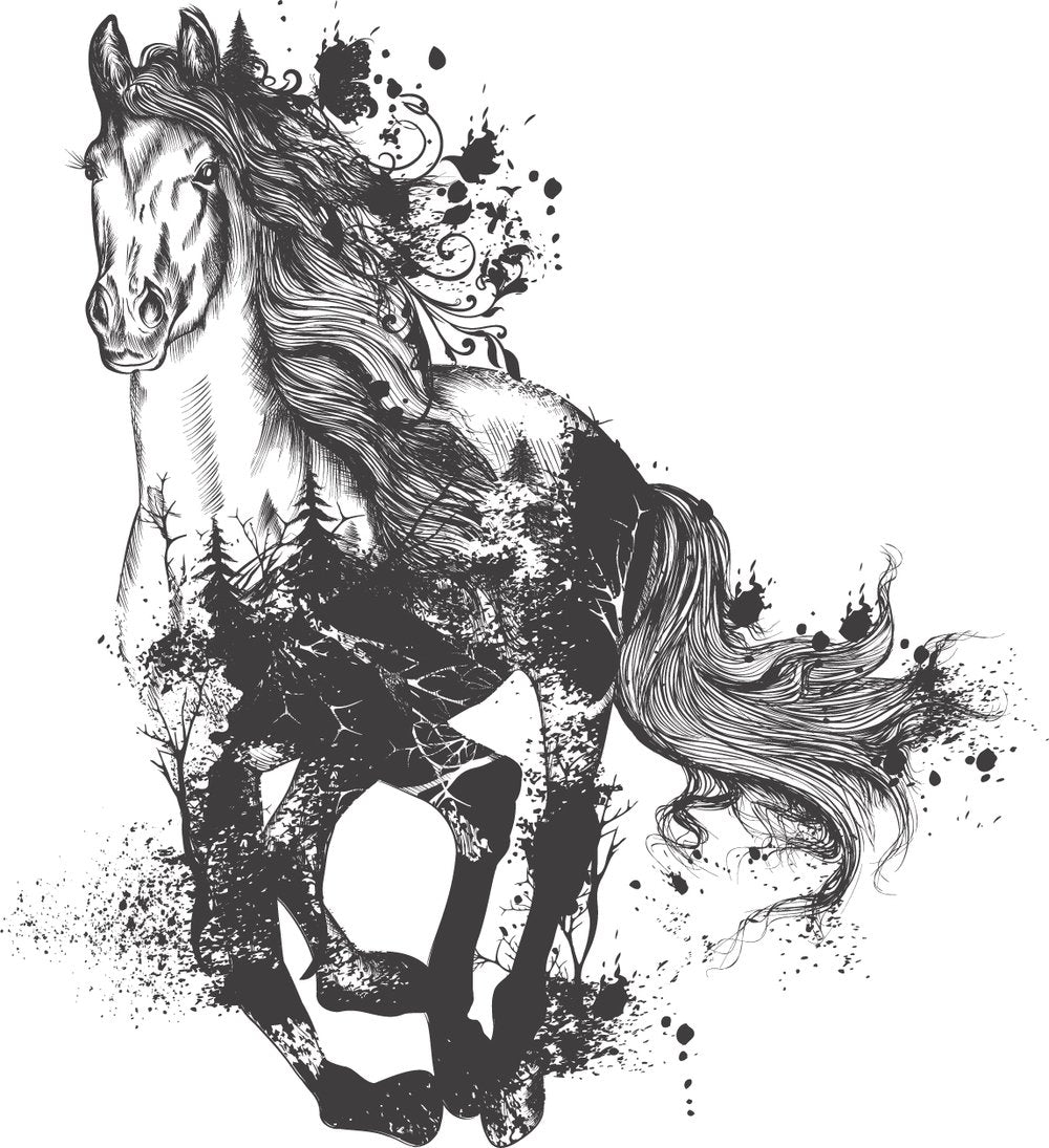 Majestic Horse (Charcoal) - Hokus Pokus Transfer