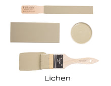 Load image into Gallery viewer, Lichen
